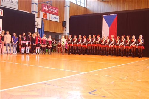 Obrázek v galerii
