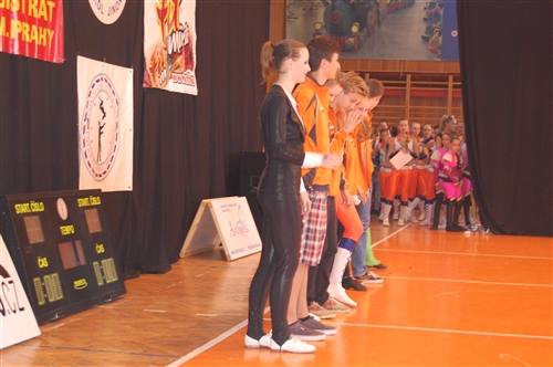 Obrázek v galerii