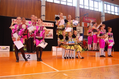 Obrázek v galerii