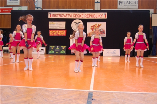 Obrázek v galerii
