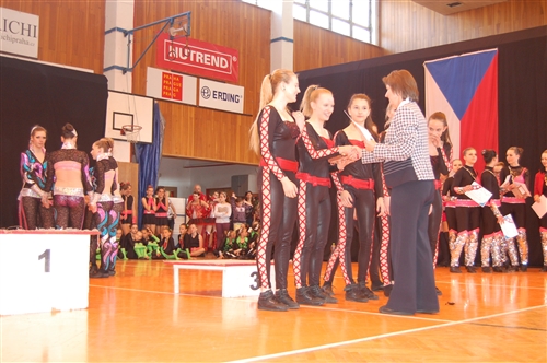 Obrázek v galerii
