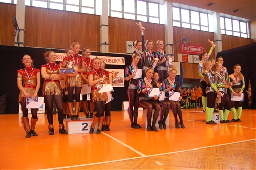 Obrázek v galerii