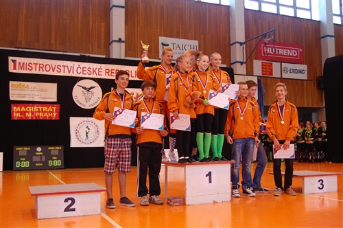 Obrázek v galerii