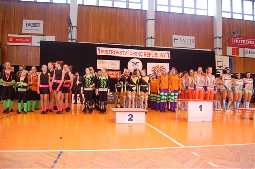 Obrázek v galerii