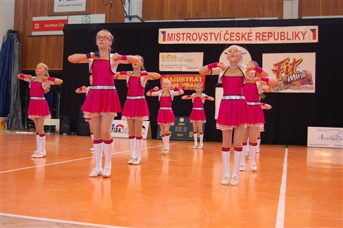 Obrázek v galerii