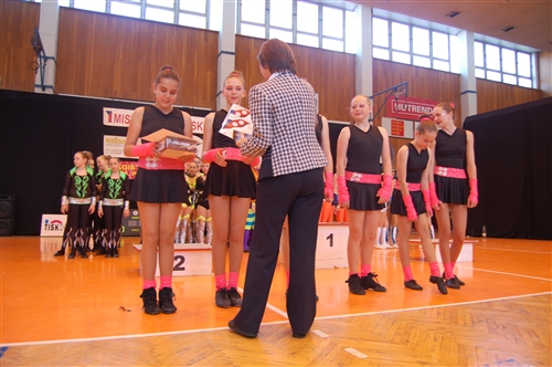 Obrázek v galerii