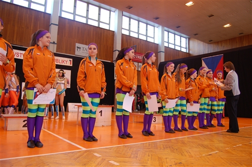 Obrázek v galerii