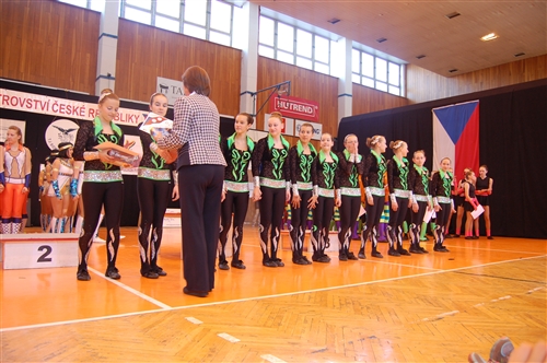 Obrázek v galerii