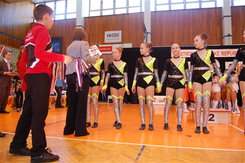 Obrázek v galerii