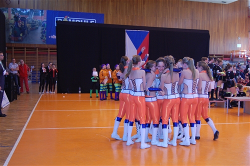 Obrázek v galerii