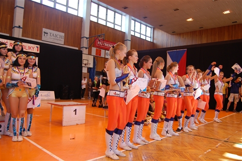 Obrázek v galerii
