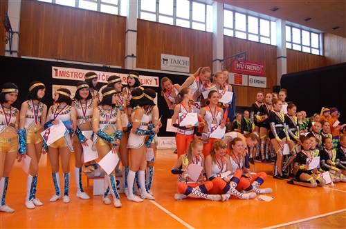 Obrázek v galerii