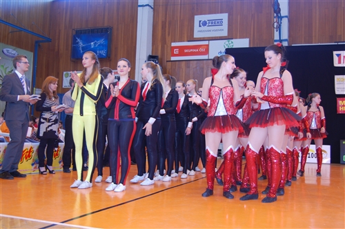 Obrázek v galerii