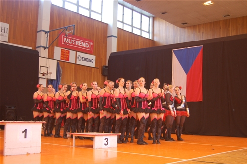 Obrázek v galerii