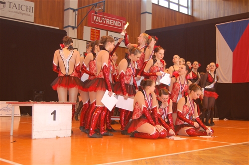 Obrázek v galerii