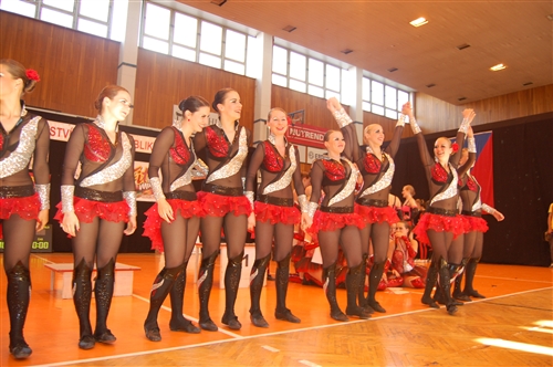 Obrázek v galerii