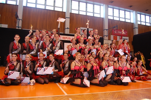 Obrázek v galerii