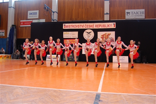 Obrázek v galerii
