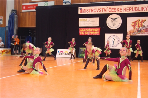 Obrázek v galerii