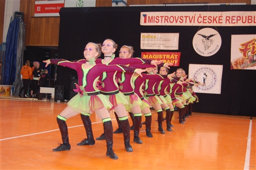 Obrázek v galerii