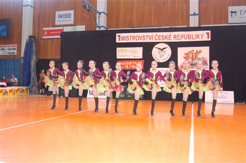 Obrázek v galerii