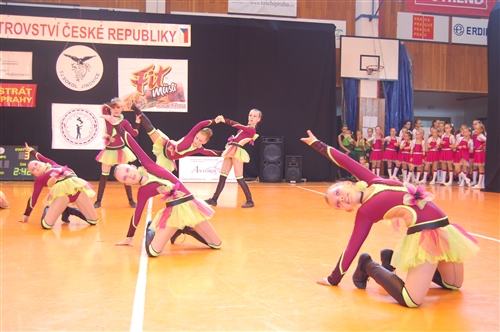 Obrázek v galerii