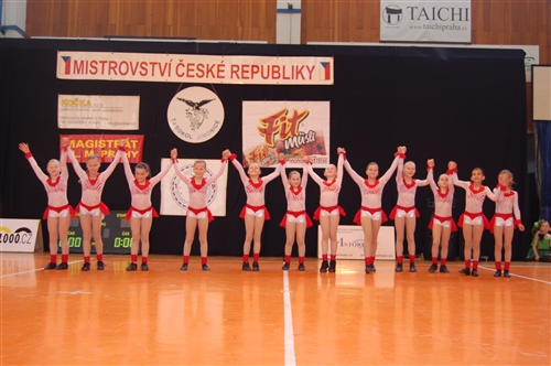 Obrázek v galerii