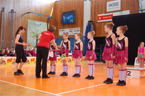 Obrázek v galerii