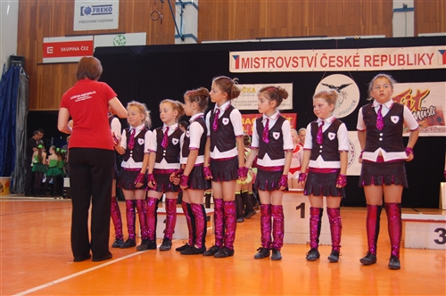 Obrázek v galerii