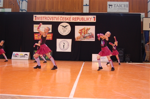 Obrázek v galerii