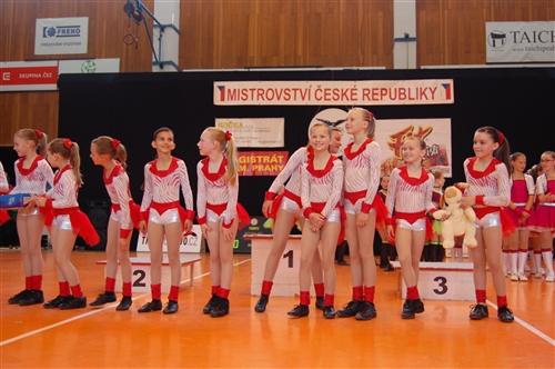 Obrázek v galerii