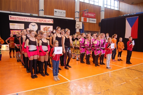 Obrázek v galerii