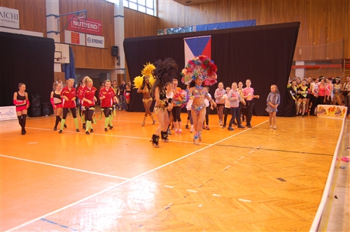Obrázek v galerii
