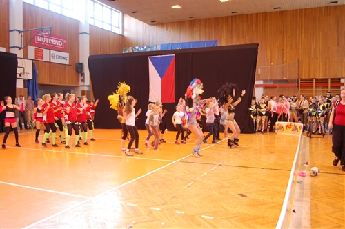 Obrázek v galerii
