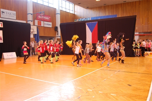 Obrázek v galerii