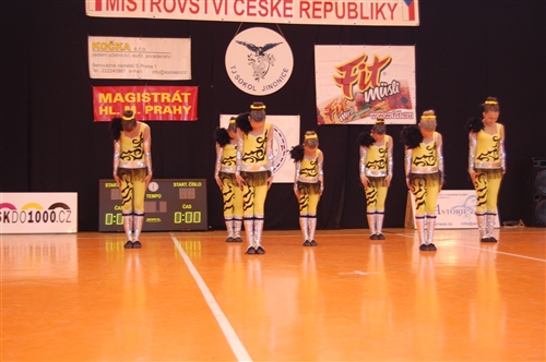 Obrázek v galerii