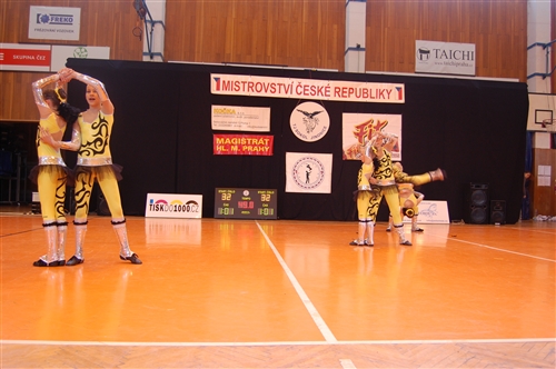 Obrázek v galerii