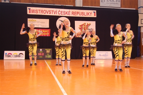 Obrázek v galerii