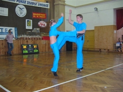 Obrázek v galerii