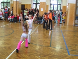 Obrázek v galerii