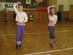Obrázek v galerii