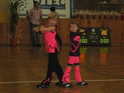 Obrázek v galerii