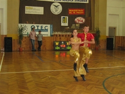 Obrázek v galerii