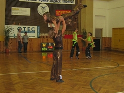 Obrázek v galerii