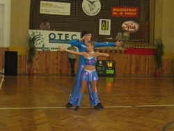 Obrázek v galerii