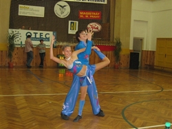 Obrázek v galerii