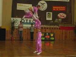 Obrázek v galerii