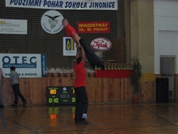 Obrázek v galerii