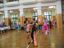 Obrázek v galerii