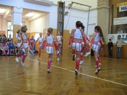 Obrázek v galerii
